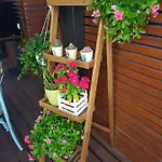 La Terrazza Di Carolina Bed & Breakfast