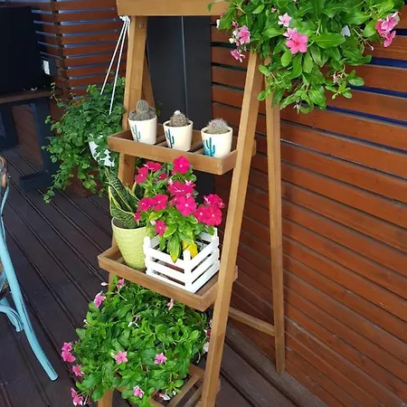 La Terrazza Di Carolina Couette-café