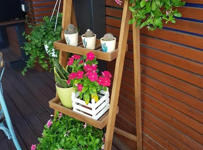 La Terrazza Di Carolina Bed & Breakfast