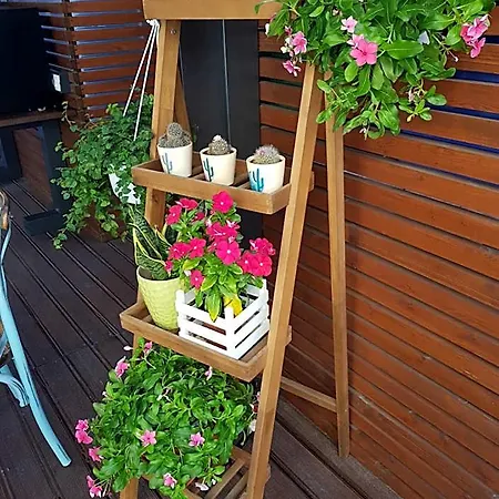 La Terrazza Di Carolina Nocleg ze śniadaniem 3*